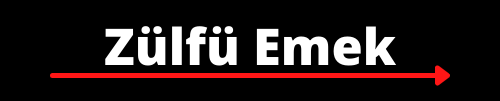 Zülfü Emek